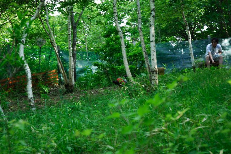 DSC_5708.jpg