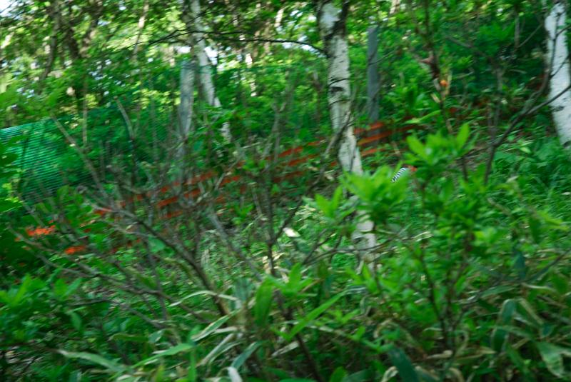 DSC_5713.jpg