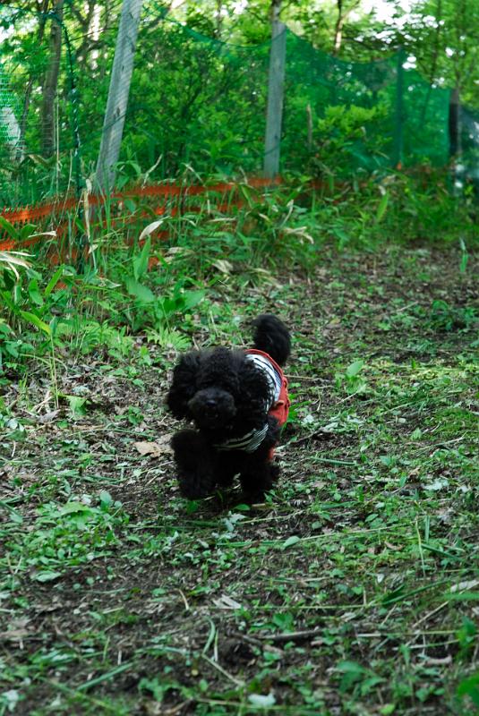 DSC_5719.jpg