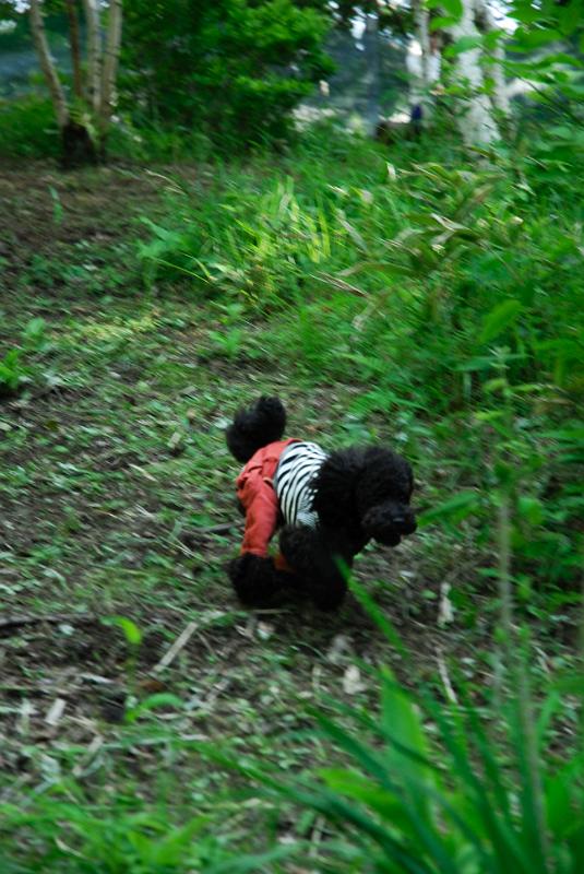 DSC_5725.jpg