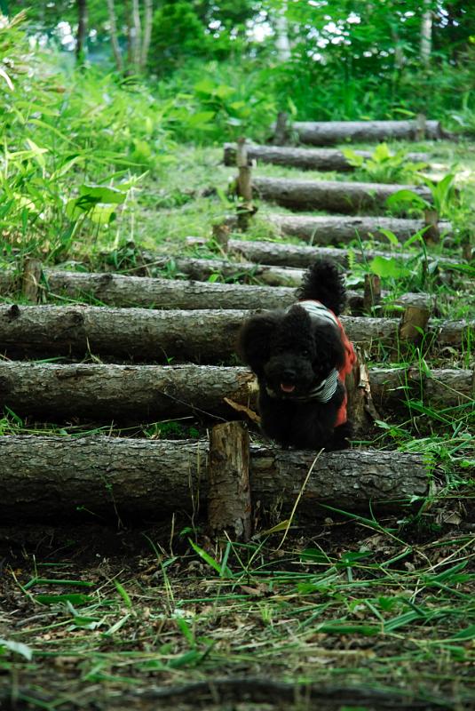 DSC_5745.jpg