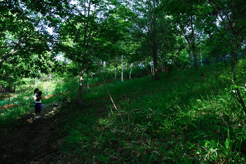 DSC_5770.jpg