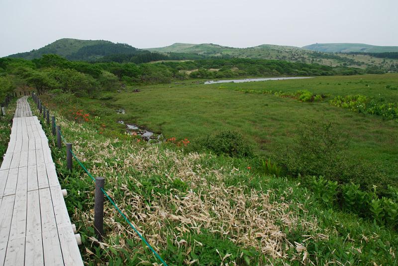 DSC_5896.jpg