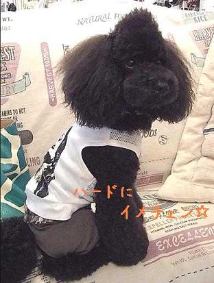 as know as服