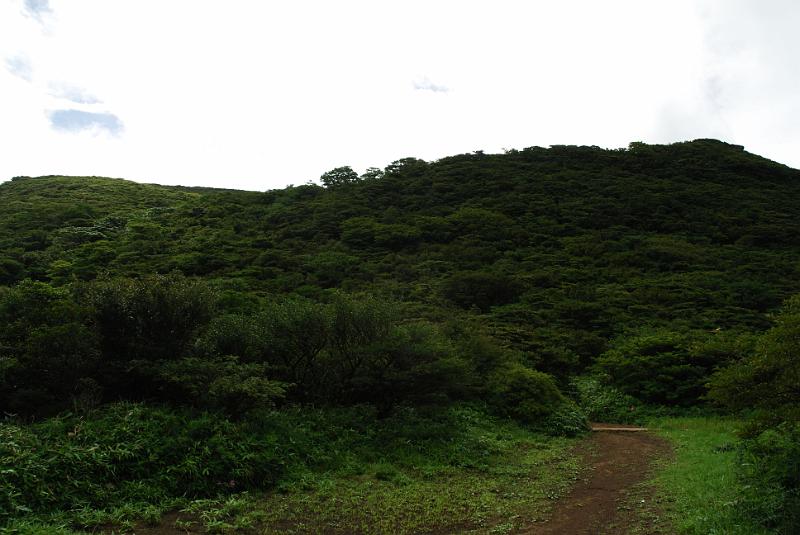 DSC_6209.jpg