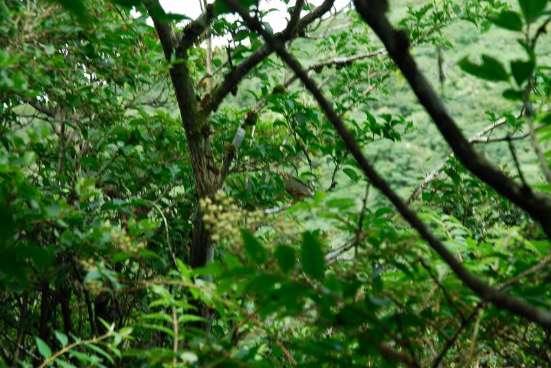 DSC_6216.jpg