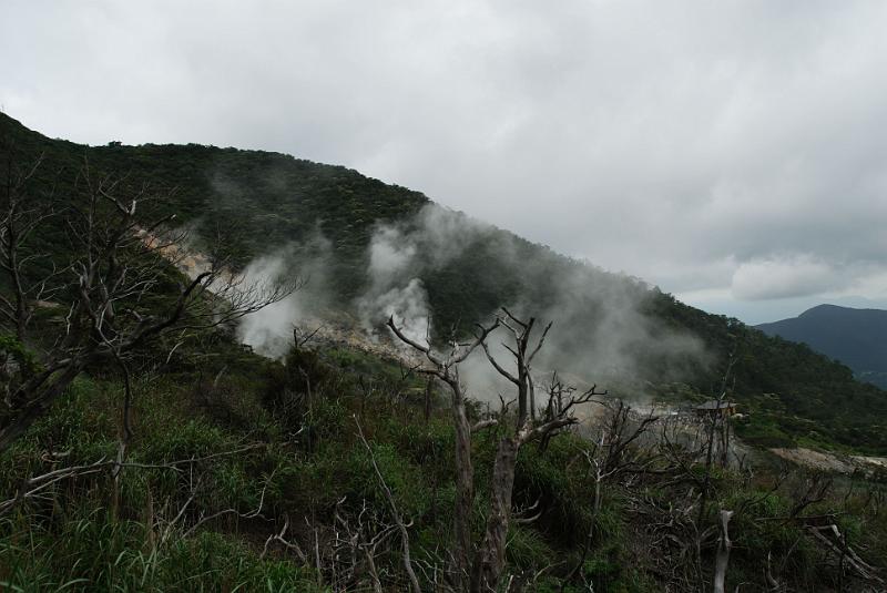 DSC_6268.jpg