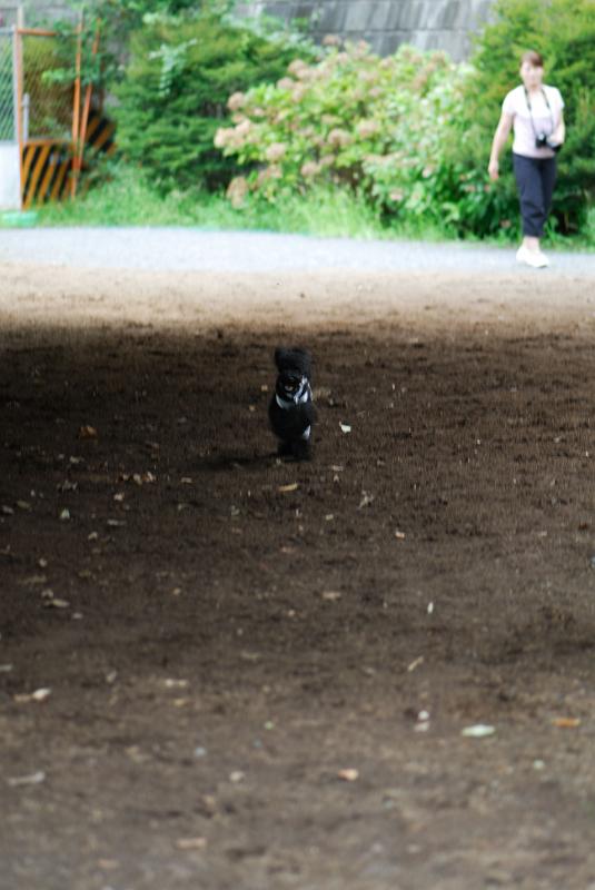 DSC_6279.jpg
