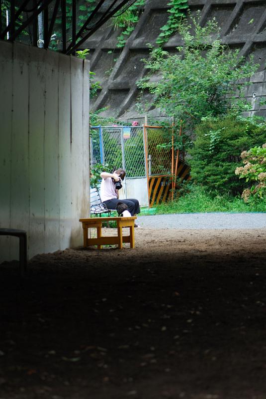 DSC_6292.jpg