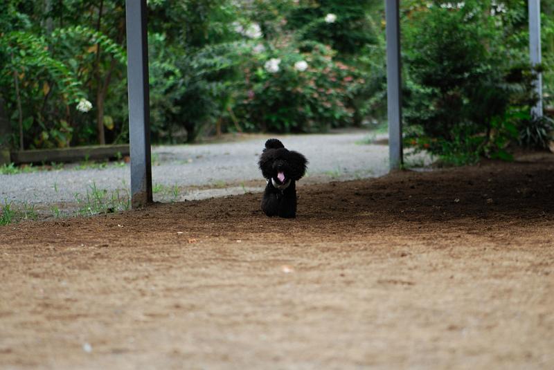 DSC_6386.jpg