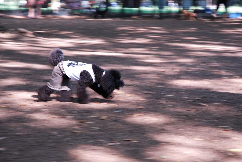 DSC_6442.jpg
