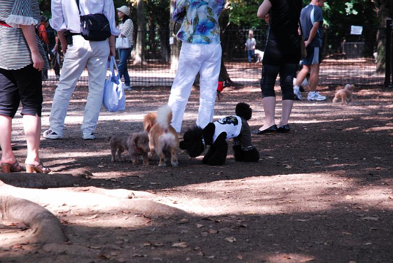 DSC_6449.jpg