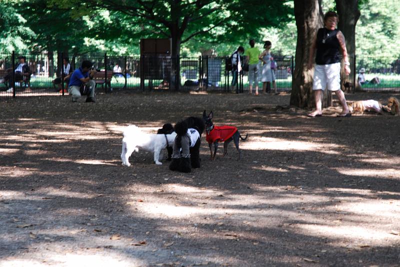 DSC_6456.jpg