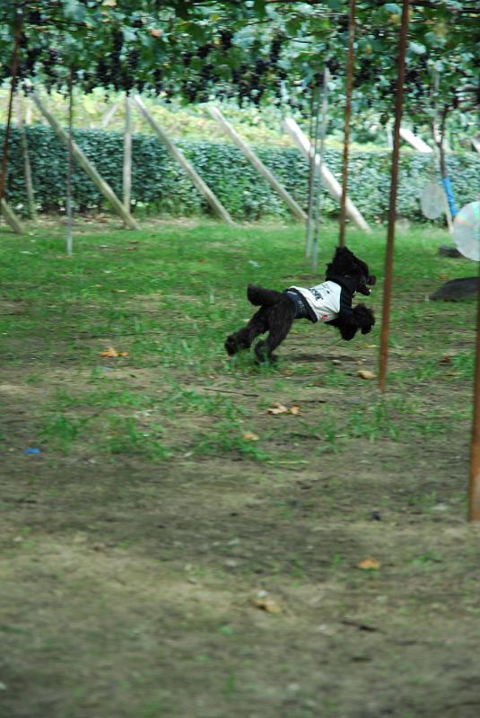 DSC_6981.JPG