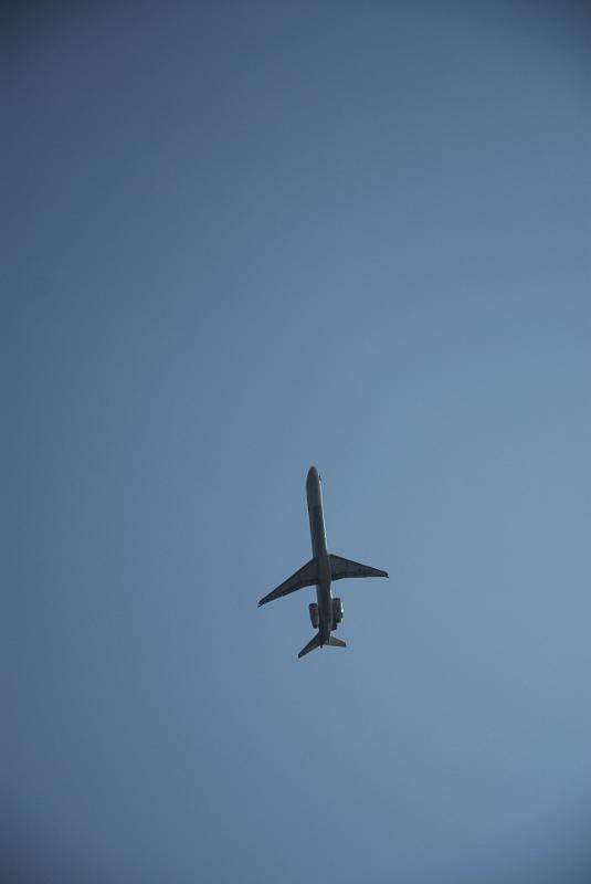 DSC_7037.jpg