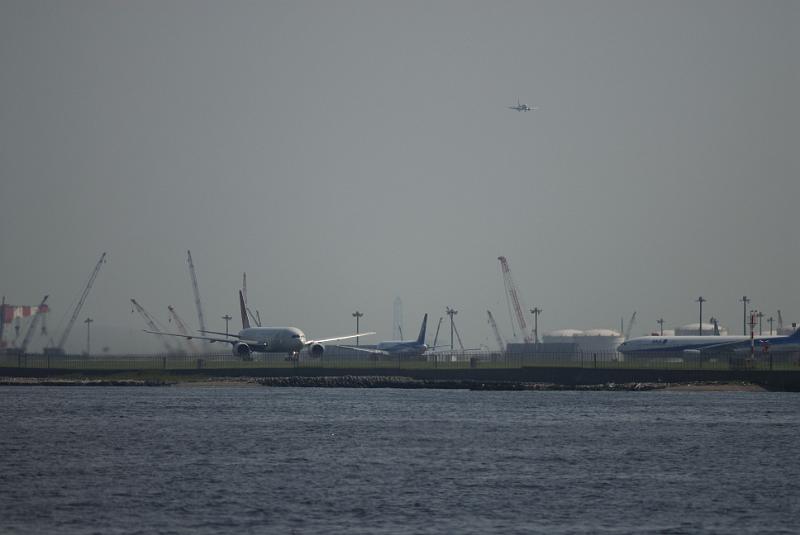 DSC_7039.jpg