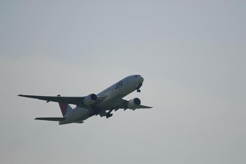 DSC_7048.jpg