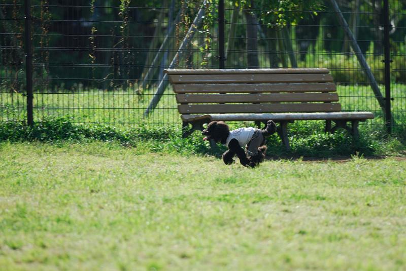 DSC_7101.jpg