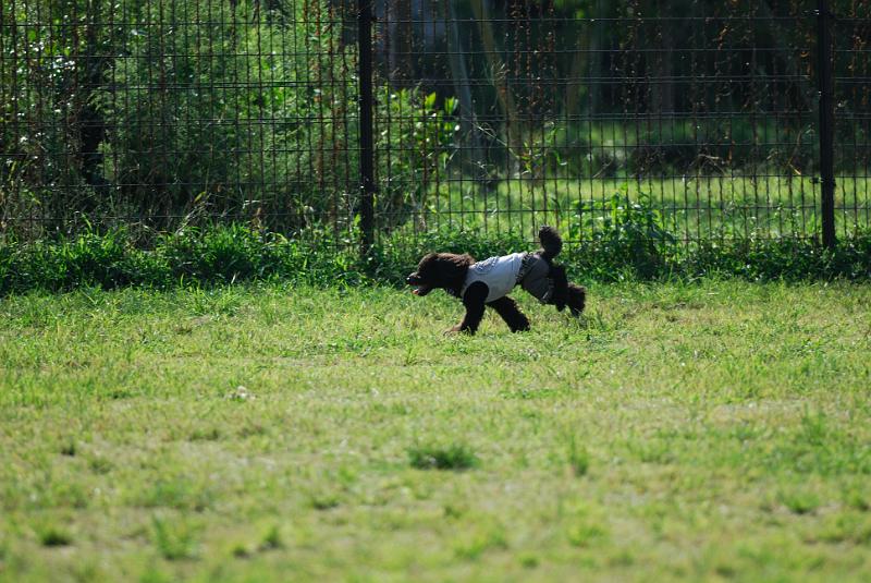 DSC_7102.jpg