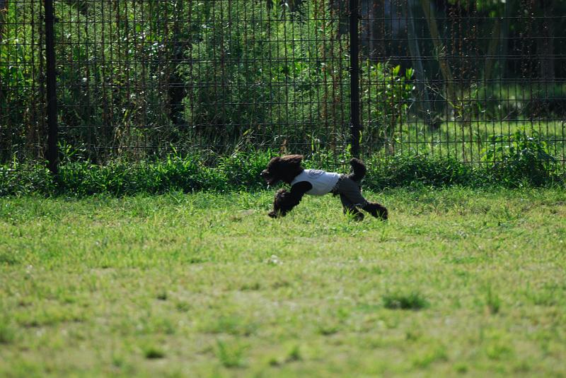 DSC_7103.jpg