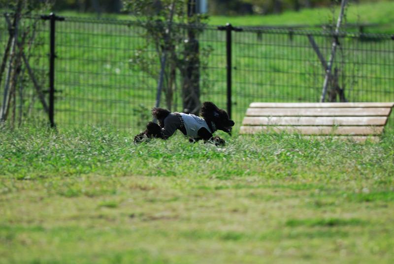 DSC_7115.jpg