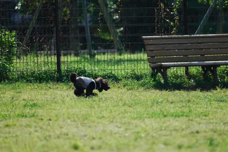 DSC_7138.jpg