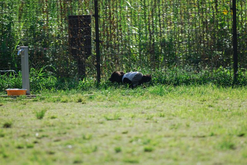 DSC_7139.jpg