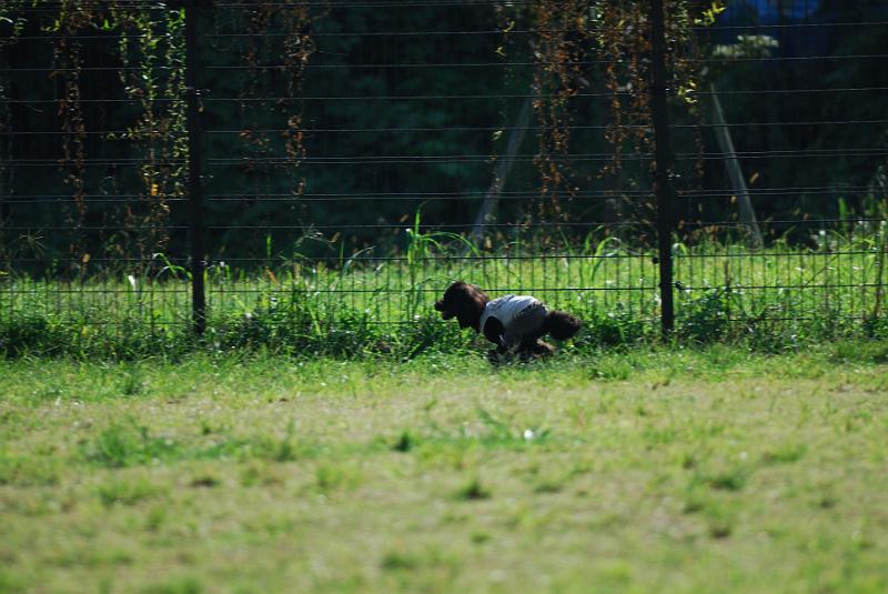 DSC_7140.jpg