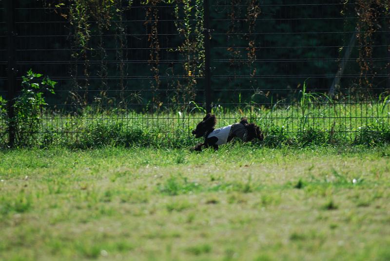 DSC_7141.jpg