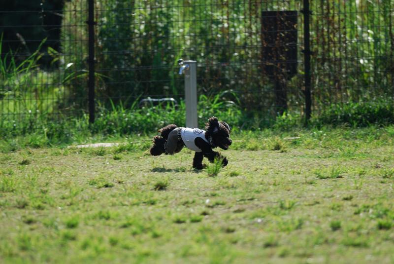 DSC_7145.jpg