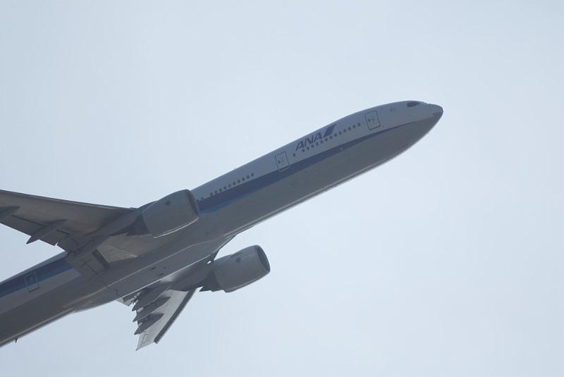 DSC_7181.jpg