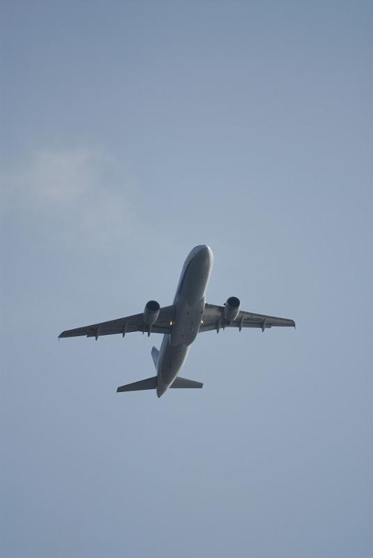 DSC_7187.jpg