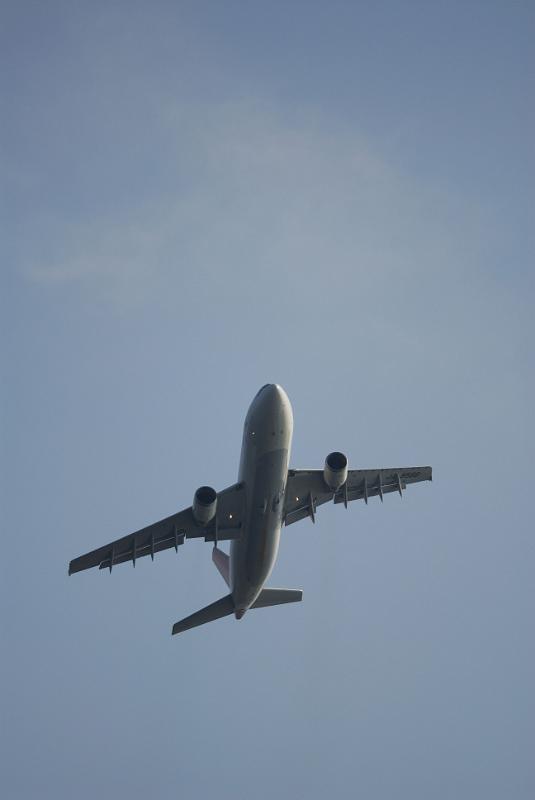 DSC_7195.jpg