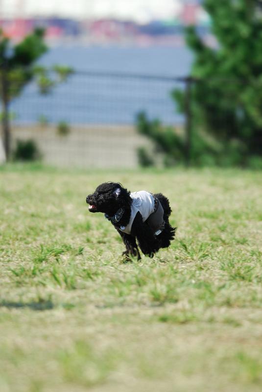 DSC_7212.jpg