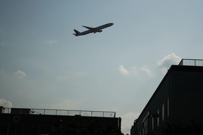 DSC_7219.jpg