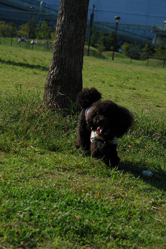 DSC_7238.JPG