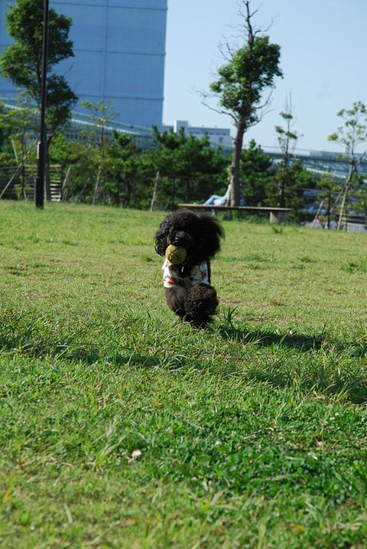 DSC_7246.JPG