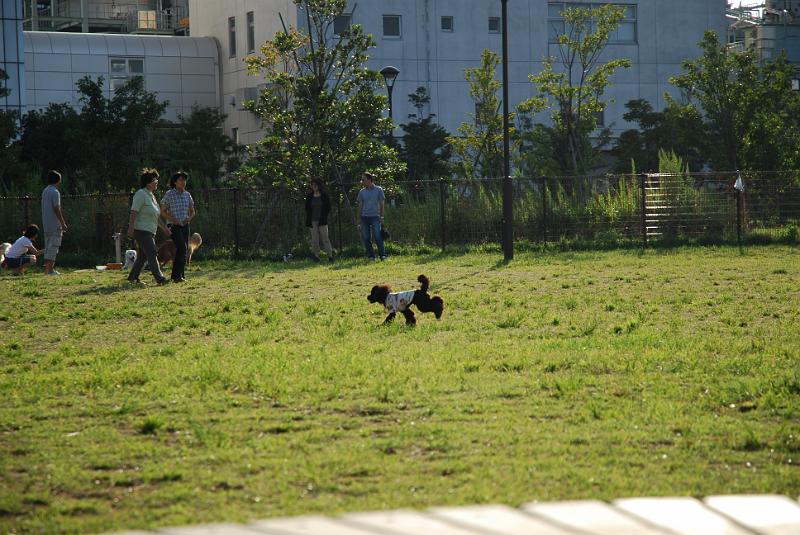 DSC_7265.JPG