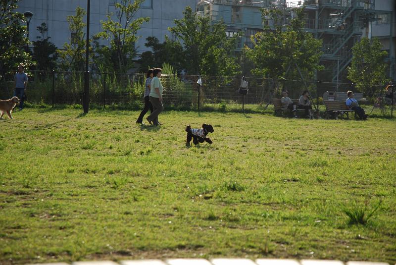 DSC_7267.JPG