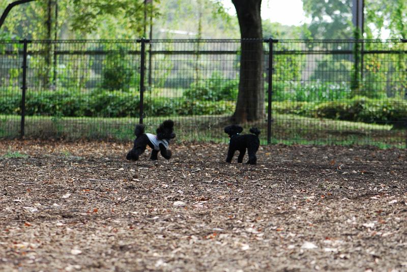 DSC_7953.jpg