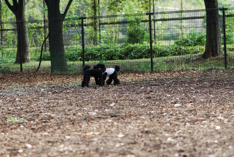 DSC_7954.jpg