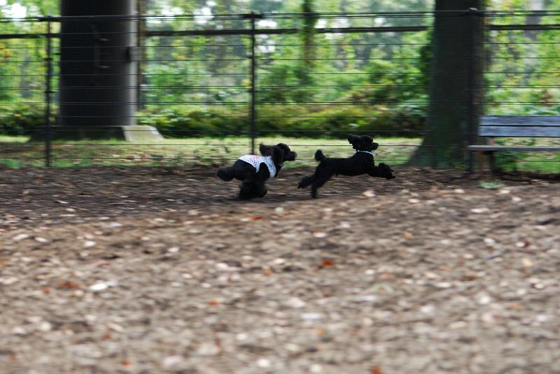 DSC_7955.jpg
