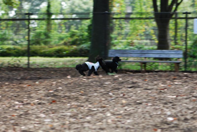 DSC_7956.jpg