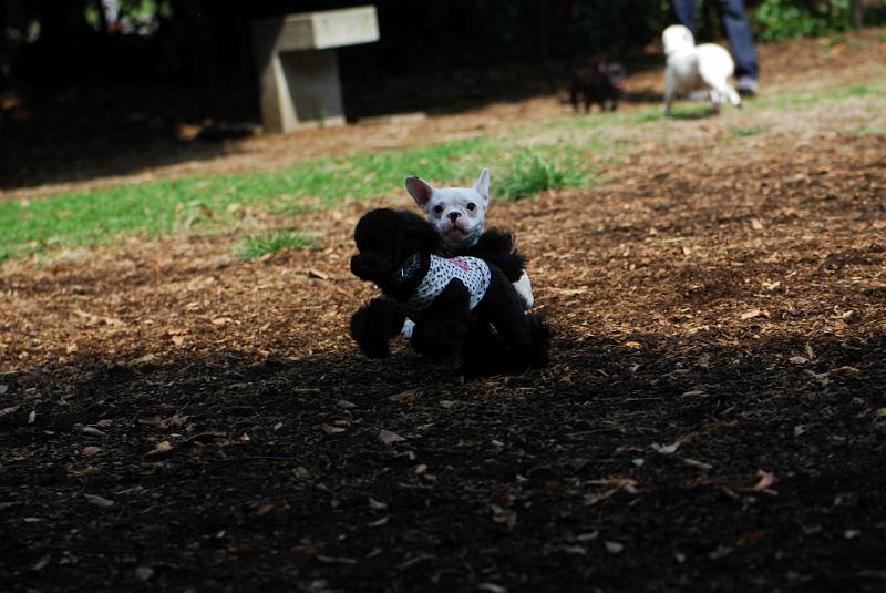 DSC_7963.jpg