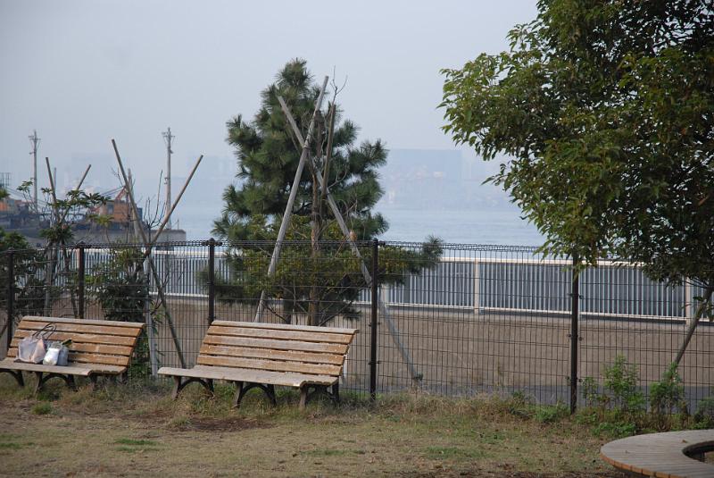 DSC_8716.JPG