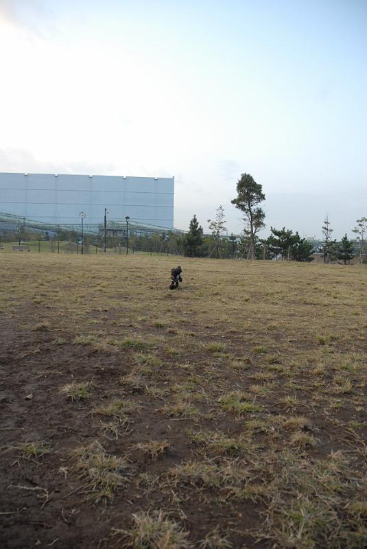 DSC_8718.JPG