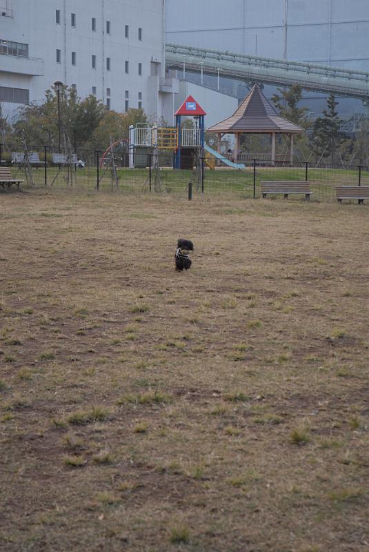 DSC_8727.JPG