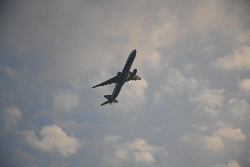 DSC_8730.JPG