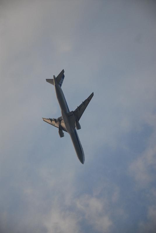 DSC_8731.JPG