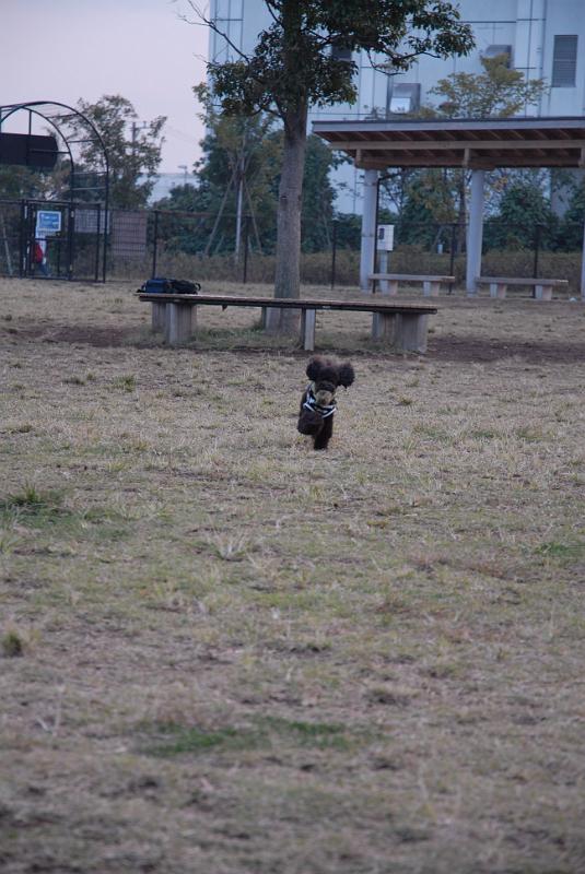 DSC_8737.JPG